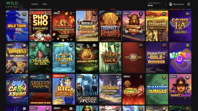 Odpowiedź na pytanie: Co to jest SlotsDJ Casino dla graczy z Polski?, slotsdj polska